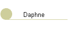 Daphne