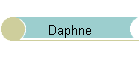 Daphne